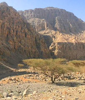 Ras Al Khaimah - Wadi Bih - pic